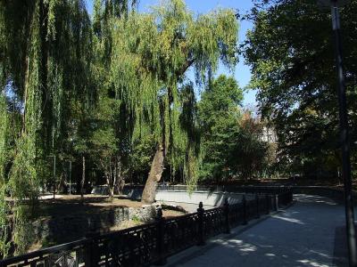 Прикрепленное изображение: n17.jpg